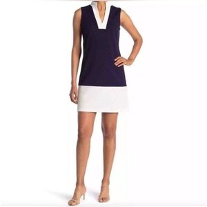 Sail to Sable Navy and White Tunic Dress